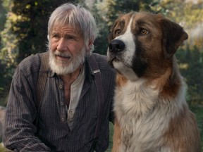 Harrison Ford and Buck are equal in acting skills, but that's because one of them's a digital construct.