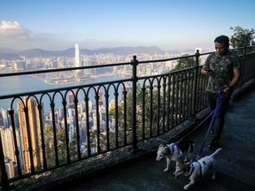 In this picture taken on February 22, 2020, a man walks his dogs along a hiking trail in Hong Kong.