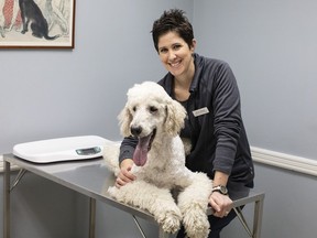 Dr. Hana Schwarz is pictured in Toronto's Roncesvalles Animal Hospital on Thursday, March 19, 2020.