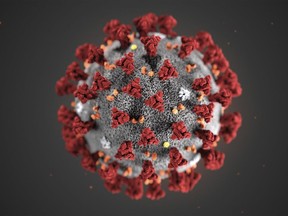 In this illustration provided by the Centers for Disease Control and Prevention (CDC) in January 2020 shows the 2019 Novel Coronavirus (2019-nCoV). This virus was identified as the cause of an outbreak of respiratory illness first detected in Wuhan, China. (CDC via AP, File)