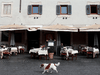 A dog passes in front of an almost empty restaurant in Trastevere area of Rome, after a decree ordered the whole of Italy to be on lockdown in an unprecedented clampdown aimed at beating the coronavirus.