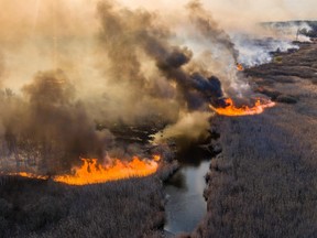 This picture taken on April 10, 2020, shows a field fire burning at a 30-kilometre (19-mile) Chernobyl exclusion zone, not far from the nuclear power plant.
