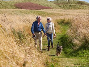 Senior Couple Taking Dog For Walk In Countryside