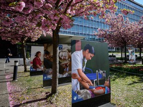This picture taken on April 15, 2020 shows at picture exhibition outside of the headquarters of the World Health Organization (WHO) in Geneva amid the COVID-19 outbreak, caused by the novel coronavirus.