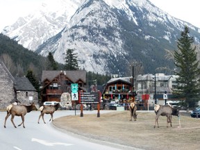 Banff has become a destination for U.S. visitors, some of whom don't seem to be taking COVID-19 regulations all that seriously.