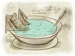 The myth that bat soup caused the coronavirus was debunked quickly.