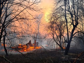 A fire burns in the exclusion zone around the Chernobyl nuclear power plant, outside the village of Rahivka, Ukraine April 5, 2020. Picture taken April 5, 2020.
