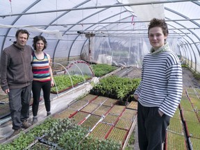 Farm owners Francois Daoust and Melina Plante, left, are seen in their greenhouse with summer employee Florence Lachapelle in Havelock, Que., on Thursday, April 23, 2020.