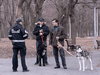 A police cadet talks to two men walking their dog in efforts to increase public awareness about the COVID-19 virus in a Montreal park, on April 2, 2020.