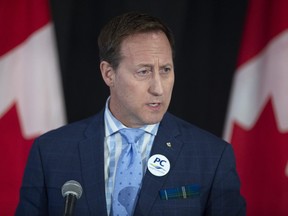 Peter MacKay addresses the crowd at a federal Conservative leadership forum during the annual general meeting of the Nova Scotia Progressive Conservative party in Halifax on Saturday, February 8, 2020.