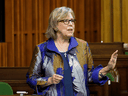 In a recent interview, Green Party leader Elizabeth May claimed Canadian oil is a “product lacking investors.