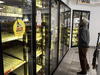 A man looks for a soda drink beside empty beer shelves, after the breweries countrywide closed their production due to COVID-19 in Monterrey, state of Nuevo Leon, Mexico, on May 5, 2020.