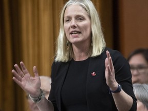 Infrastructure Minister Catherine McKenna responds to a question during Question Period in the House of Commons Tuesday, February 4, 2020 in Ottawa. McKenna says the government is setting up a new COVID-19 stream out of Ottawa's existing infrastructure programs.THE CANADIAN PRESS/Adrian Wyld