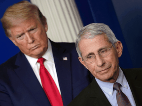 U.S. President Donald Trump is envisioned in many conspiracy theories as being brutally victimized by Dr. Anthony Fauci.