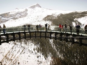 Tourists take in the views from the newly opened Glacier SkyWalk near the Columbia Icefields in Jasper National Park, Alta., Wednesday, May 7, 2014. Officials in the park have issued a notice of restriction, which is in place until at least July 9, to give bears and other wildlife the space they need.