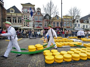 Dutch cheese vitamin K