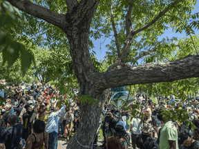 People protest near the tree that authorities say Robert Fuller, a 24-year-old black man, was found hanging dead from on June 13, 2020 in Palmdale, California.