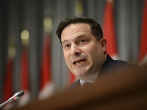 Minister of Immigration, Refugees and Citizenship Marco Mendicino takes part in a press conference during the COVID-19 pandemic in Ottawa on June 8, 2020.