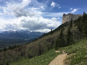 The hiking trail on Yamnuska in Alberta's Bow Valley Wildland Provincial Park, part of Kananaskis Country, is shown in June 2017. The Alberta government has quietly halted the closure of 17 provincial parks and recreation sites this year because of COVID-19. The province had initially planned to fully or partially close 20 provincial parks and hand off another 164 to third-party managers. Officials quietly updated the COVID-19 response page on the Alberta Parks website.THE CANADIAN PRESS/Colette Derworiz