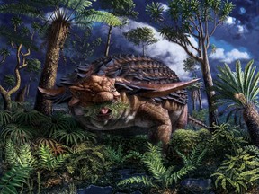 An ankylosaur eats ferns in a handout illustration. Fresh ferns, loaded with spores, lightly dusted with leaves and twigs and perfectly seasoned with locally sourced charcoal. Sound good? It did to an ankylosaur about 110 million years ago, as evidenced by amazingly complete fossils of what was certainly the tank-like dinosaur's last meal. THE CANADIAN PRESS/HO-Royal Tyrrell Museum of Palaeontology MANDATORY CREDIT