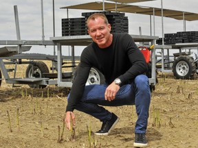 Scott Biddle, Scotlynn Group president and CEO, is shown with an asparagus crop in this May 4, 2020 photo.