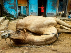 INDIA-RELIGION-ISLAM-EID