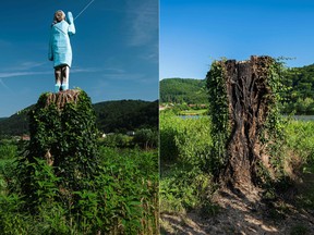 This combination of pictures created shows (L) a file photo (2019) of 'the first ever monument of Melania Trump.' 
(R) a photo showing the charred remains of the tree trunk after the statue was burnt down.