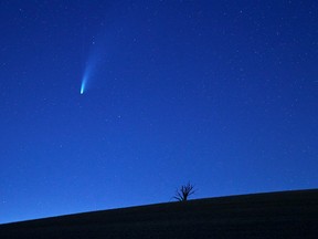 The Comet C/2020 or "Neowise" is seen in the sky behind a tree in Mies near Lausanne, Switzerland July 19, 2020.