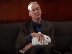 David Thewlis holds a very old, very meaningful white rabbit in Guest of Honour.