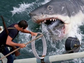 Bruce the shark terrorized moviegoers in the summer of '75, and ushered in the era of the blockbuster.