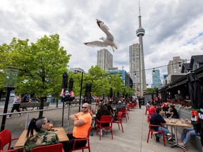 People enjoy drinks and food at Amsterdam Brewhouse's patio, as the provincial phase 2 of reopening from the coronavirus disease (COVID-19) restrictions begins in Toronto, Ontario, Canada June 24, 2020.