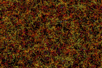 Color indicates distance from Earth, ranging from yellow on the near side of the slice to purple on the far side. There are 48,741 galaxies in this picture, only about 3 per cent of the total surveyed.