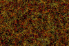 Color indicates distance from Earth, ranging from yellow on the near side of the slice to purple on the far side. There are 48,741 galaxies in this picture, only about 3 per cent of the total surveyed.