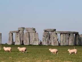 In this file photo sheep graze as security guards patrol the prehistoric monument at Stonehenge in southern England, on April 26, 2020, closed during the national lockdown due to the novel coronavirus COVID-19 pandemic.