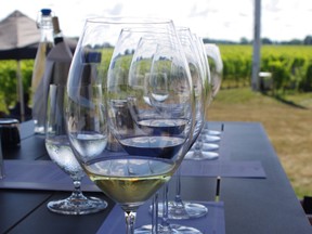 Fields of grapes provide a leafy backdrop to a flight of wines at Stratus.