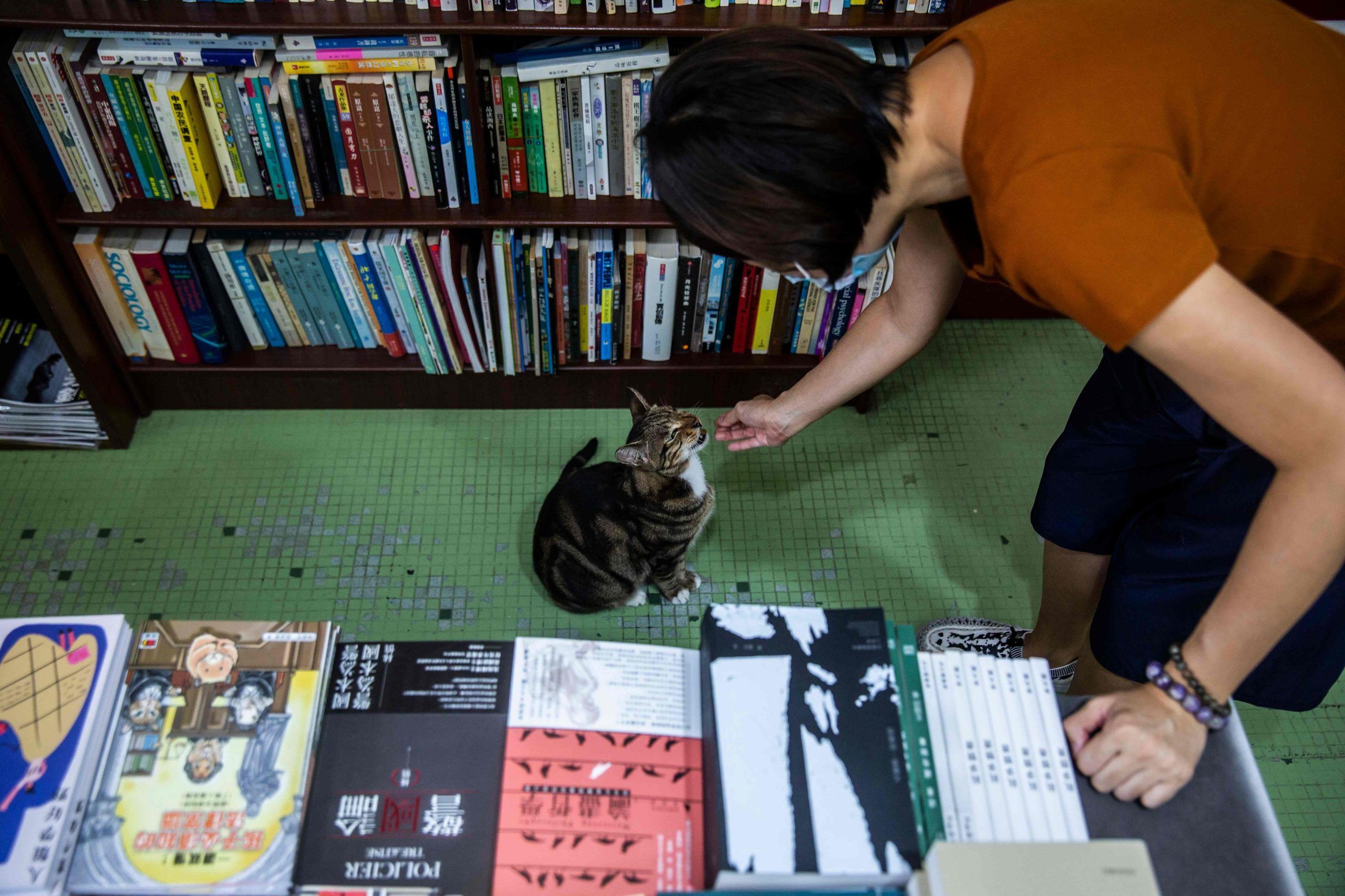 China's government activates publishing industry links to