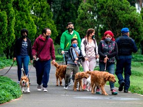 People walk their dogs at the Chapultepec park in Mexico City on August 09, 2020, amid the COVID-19 coronavirus pandemic.
