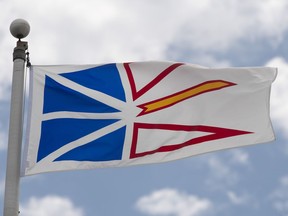 Lawyers challenging Newfoundland and Labrador's COVID-19-related travel ban say the policy is arbitrary and violates the mobility rights guaranteed in the charter. Newfoundland and Labrador's provincial flag flies on a flag pole in Ottawa, Friday, July 3, 2020.