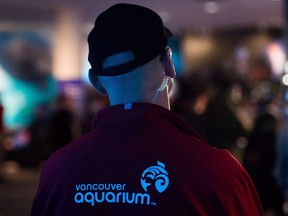 A Vancouver Aquarium staff member wearing an earpiece listens during a news conference in Vancouver, B.C., on Monday November 28, 2016. The Vancouver Aquarium is closing to the public, putting its programming on pause while it attempts to recover from the financial devastation of COVID-19.