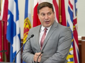 Federal Minister of Immigration, Refugees and Citizenship Marco Mendicino announces a program to help asylum seekers who worked in the healthcare system during the COVID-19 pandemic to gain permanent residence status at a news conference in Montreal, Aug. 14, 2020.