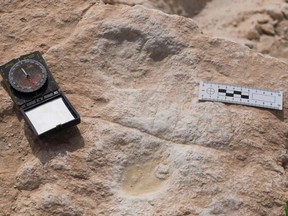 This undated handout photo obtained September 16, 2020 shows the first human footprint discovered at the Alathar ancient lake.