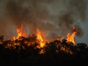 A wildfire in the San Gabriel Mountains burns near homes on Sept. 13, 2020, in Arcadia, Calif.
