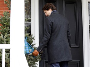 Prime Minister Justin Trudeau pauses to admire a bow on a tree following a news conference in front of his residence at Rideau Cottage in Ottawa on April 24, 2020. Trudeau promised a year ago that his government would plant two billion trees across Canada in the next 10 years, but none has been planted yet.