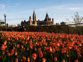 Parliament Hill is seen in Ottawa in a file photo from  May 18, 2020.