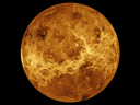 A composite image of the planet Venus using data from NASA's Magellan spacecraft and Pioneer Venus Orbiter. The surface of the planet is No life would be able to survive on the surface of Venus, because it is completely inhospitable, scientists say.