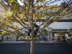 Mobile devices in a tree outside of a Whole Foods store in Evanston, Illinois, U.S., on Saturday, Aug. 29, 2020.