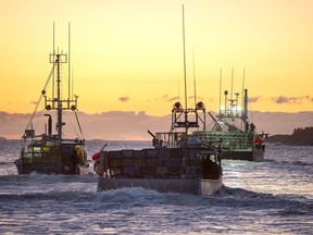 Fishing boats, loaded with traps, head from port as the lobster season on Nova Scotia's South Shore begins, in West Dover, N.S., Tuesday, Nov. 26, 2019.  A First Nation in Nova Scotia plans to launch its own lobster fishing fleet today, in defiance of federal regulations that say the fishery is closed for the season.
