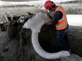 A worker of Mexico's National Institute of Anthropology and History (INAH) works at a site where more than 100 mammoth skeletons have been identified, along with a mix of other ice age mammals, at an area where a new international airport is currently being built, in Zumpango, near Mexico City, Mexico September 8, 2020.