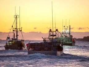 Fishing boats, loaded with traps, head from port as the lobster season on Nova Scotia's South Shore begins, in West Dover, N.S., Tuesday, Nov. 26, 2019.