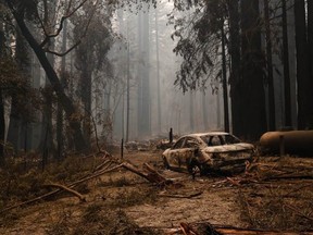 Trees and a car near the Big Basin Park is burned down